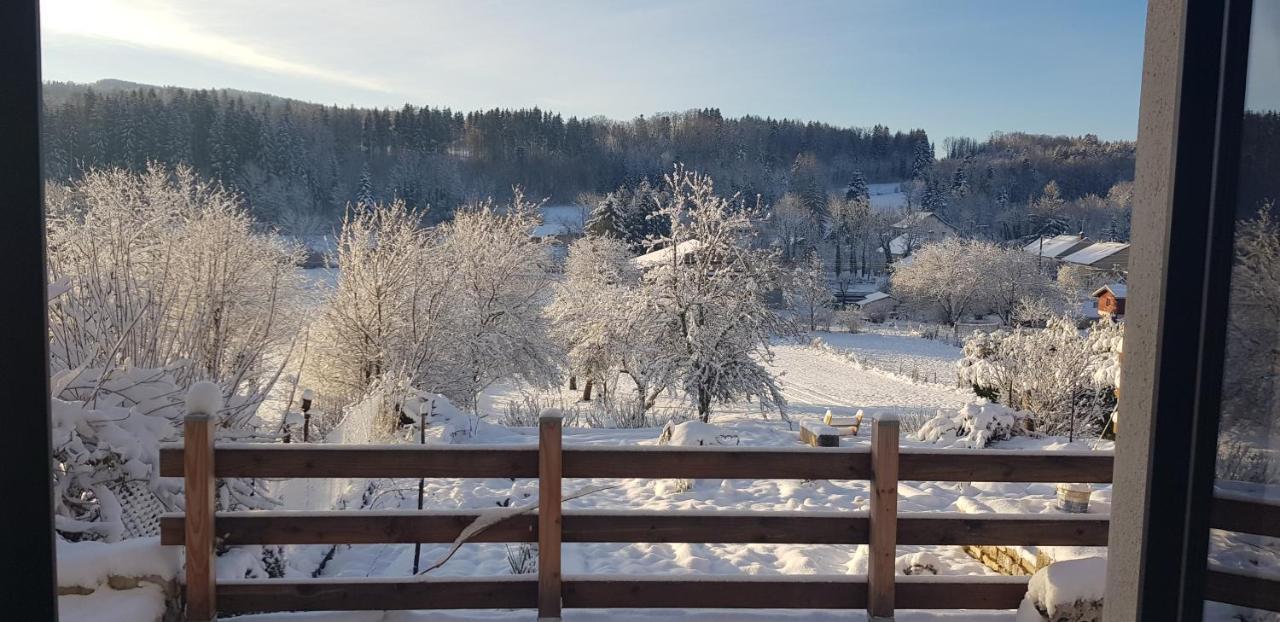 Bonlieu Le Jura En Toutes Saisons Piscine, Spa, Location Vtt, Balades 2Cv, Climatisation מראה חיצוני תמונה