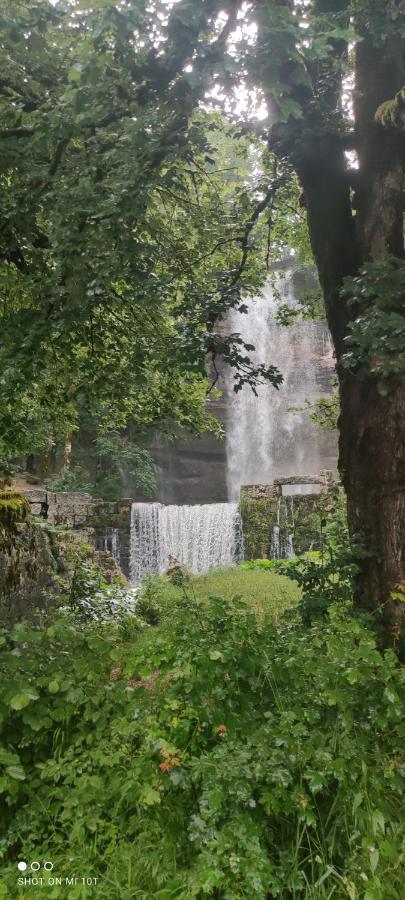 Bonlieu Le Jura En Toutes Saisons Piscine, Spa, Location Vtt, Balades 2Cv, Climatisation מראה חיצוני תמונה