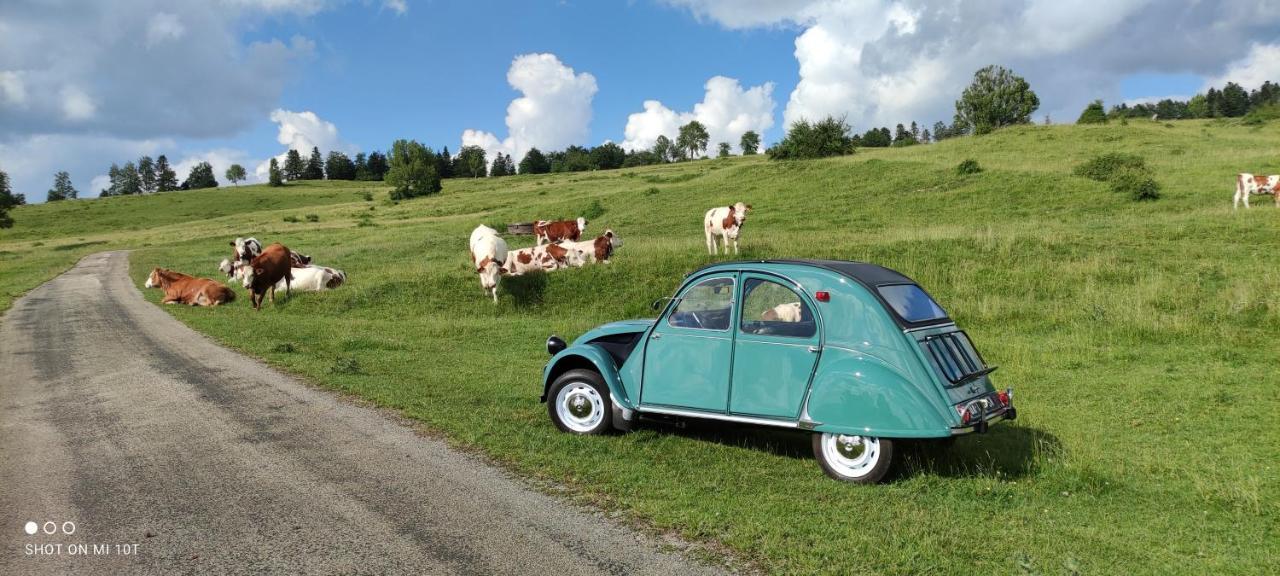 Bonlieu Le Jura En Toutes Saisons Piscine, Spa, Location Vtt, Balades 2Cv, Climatisation מראה חיצוני תמונה