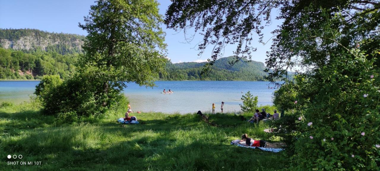 Bonlieu Le Jura En Toutes Saisons Piscine, Spa, Location Vtt, Balades 2Cv, Climatisation מראה חיצוני תמונה