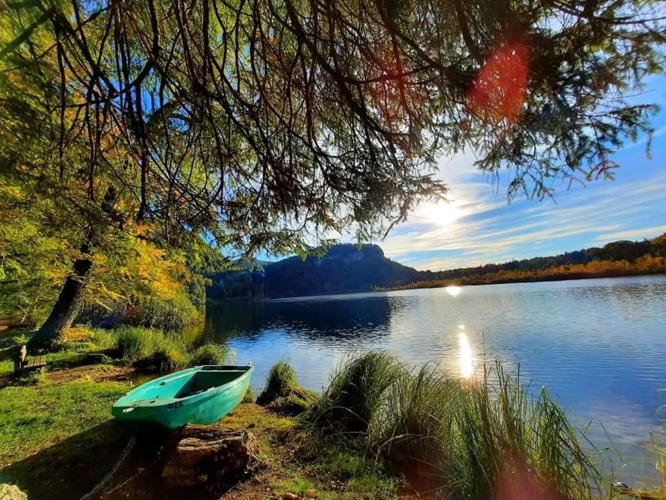 Bonlieu Le Jura En Toutes Saisons Piscine, Spa, Location Vtt, Balades 2Cv, Climatisation מראה חיצוני תמונה