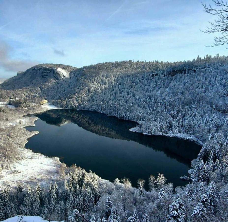 Bonlieu Le Jura En Toutes Saisons Piscine, Spa, Location Vtt, Balades 2Cv, Climatisation מראה חיצוני תמונה