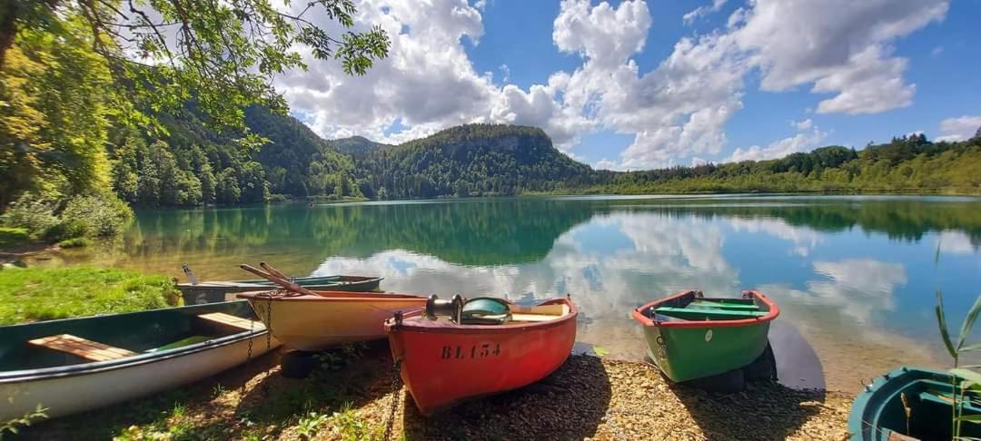 Bonlieu Le Jura En Toutes Saisons Piscine, Spa, Location Vtt, Balades 2Cv, Climatisation מראה חיצוני תמונה