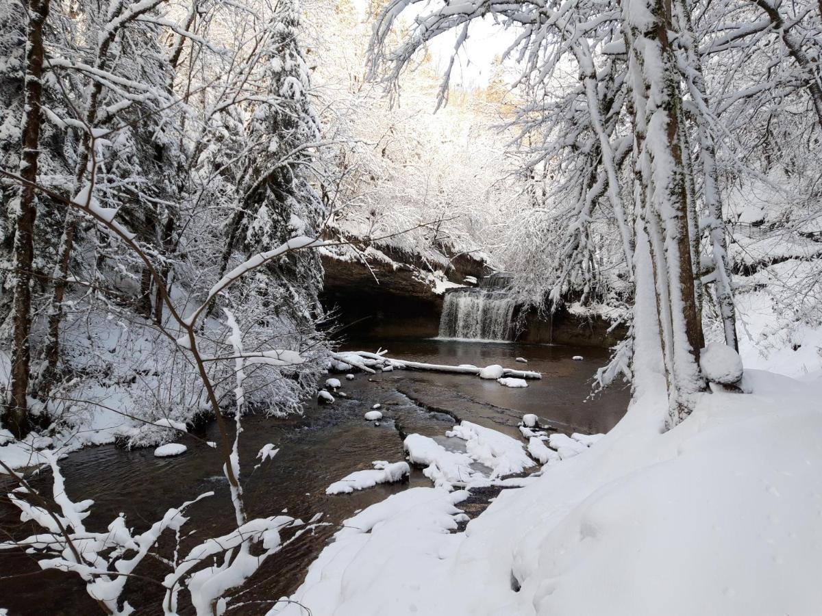 Bonlieu Le Jura En Toutes Saisons Piscine, Spa, Location Vtt, Balades 2Cv, Climatisation מראה חיצוני תמונה