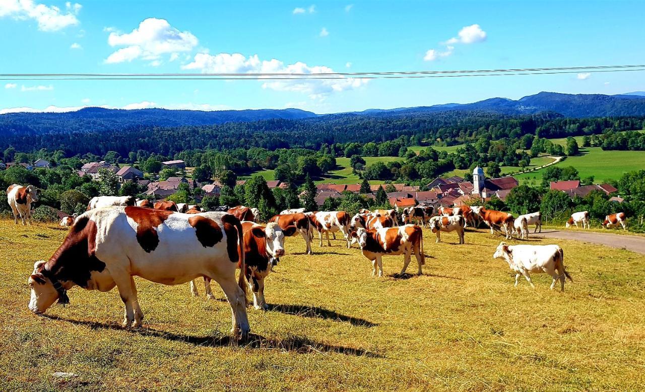 Bonlieu Le Jura En Toutes Saisons Piscine, Spa, Location Vtt, Balades 2Cv, Climatisation מראה חיצוני תמונה